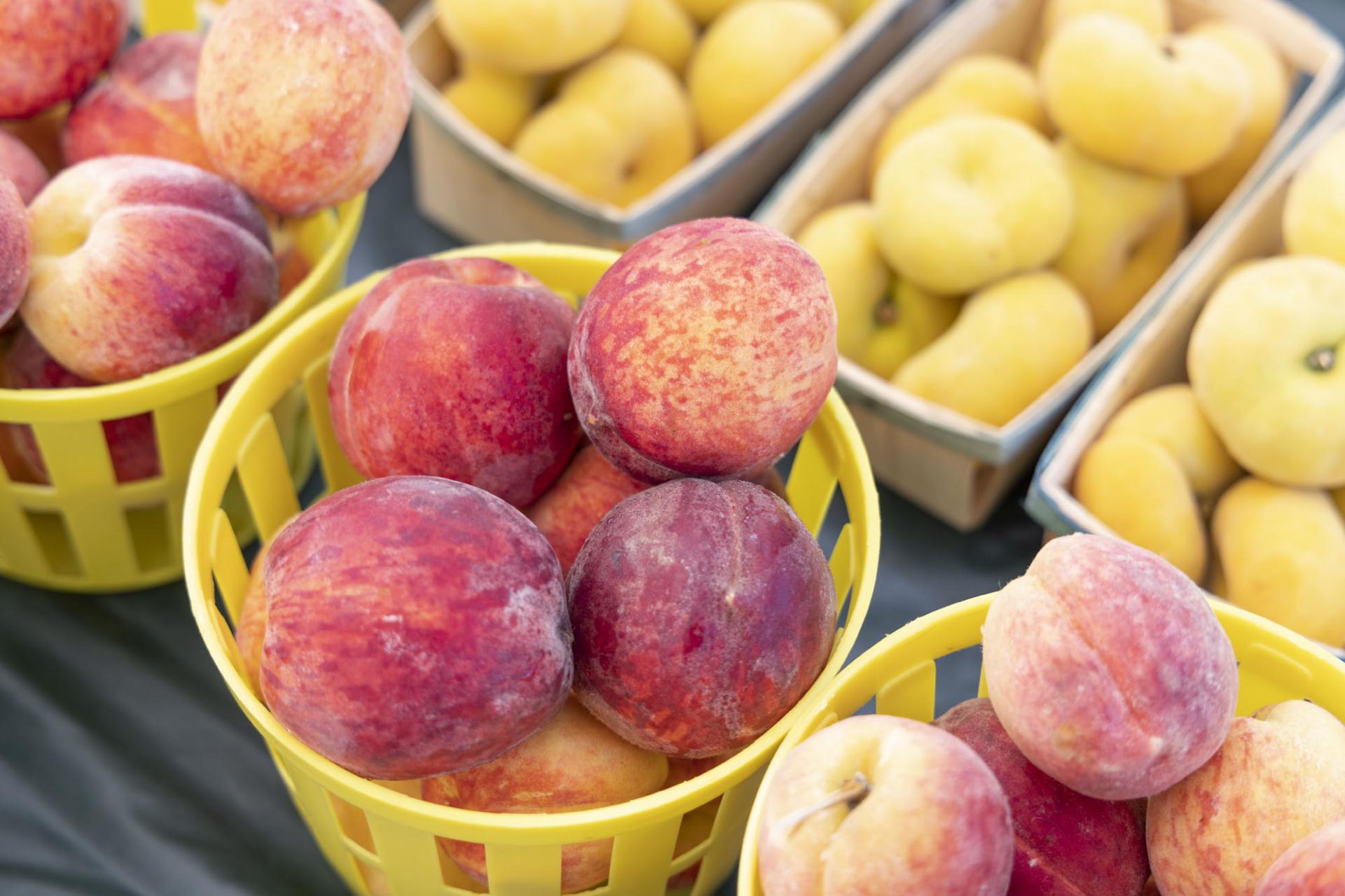 2023 St. Joe Farmers Market logo